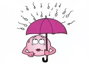 20191209_1575861629_.png FFD1669C58FB429E7AC65F0344FC3D0E837E24ED_size40_w313_h226.png