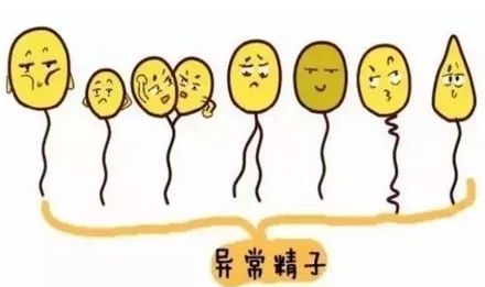 20191213_1576226493_.jpg timg (2).jpg