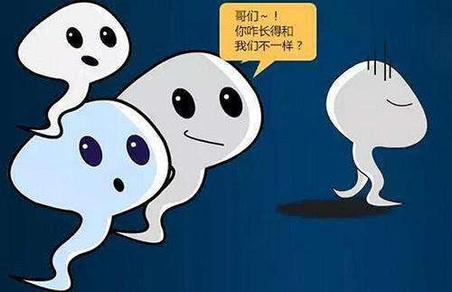 20191219_1576740113_.jpg jingzo.jpg