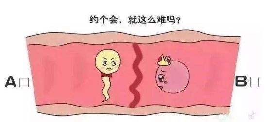 20191219_1576748118_.jpg shulgdus.jpg