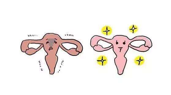 20191225_1577254084_.jpg lc.jpg