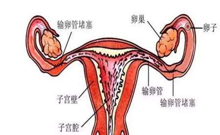 20191229_1577587670_.jpg shulg.jpg