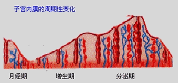 20191230_1577685116_.gif oo.gif