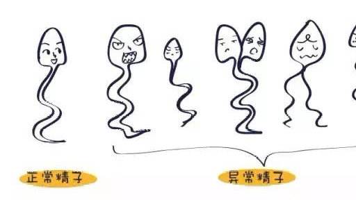 20200107_1578365474_.jpg jzjx.jpg