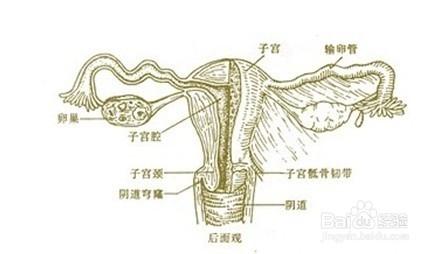 20200108_1578474677_.jpg slgzl.jpg