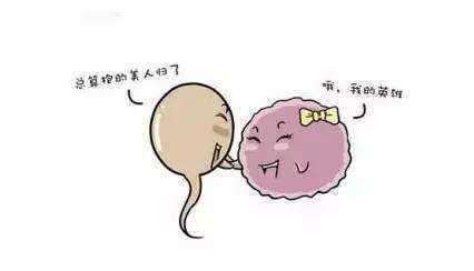 20200112_1578797314_.jpg shulg.jpg