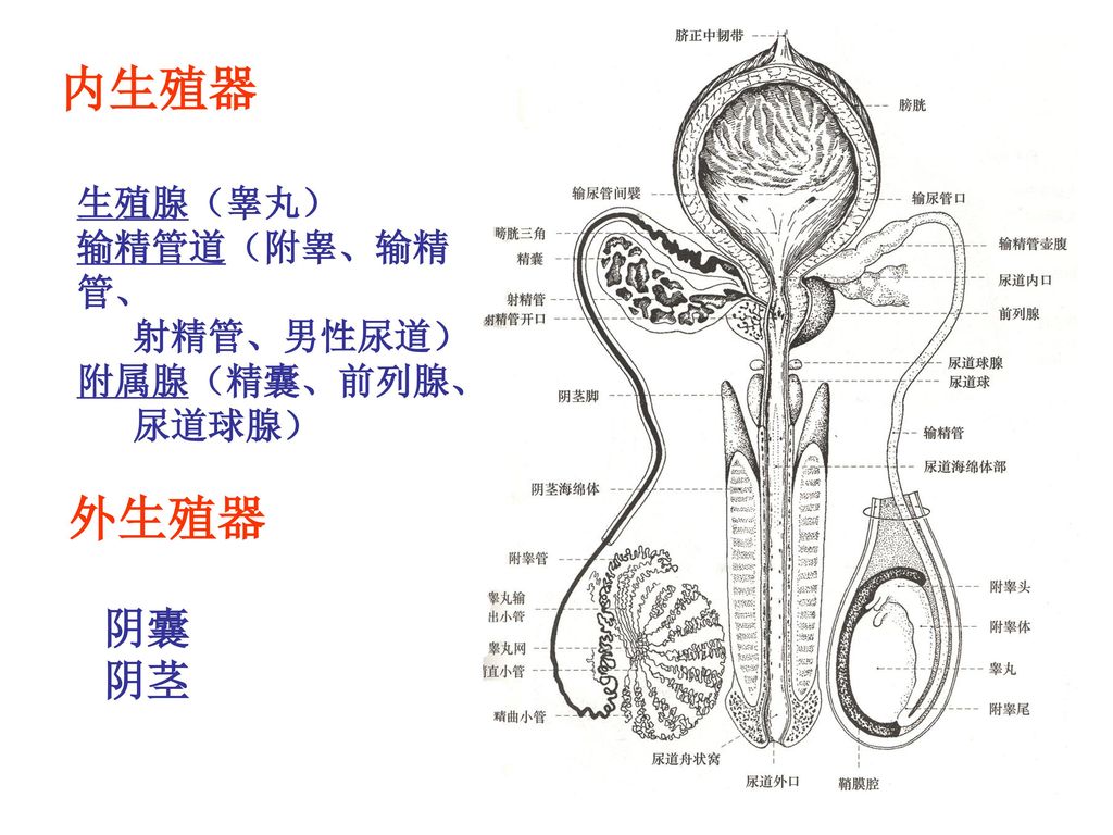 20200113_1578887309_.jpg szq.jpg