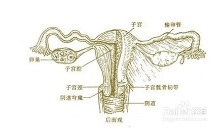 20200114_1578970573_.jpg slg.jpg