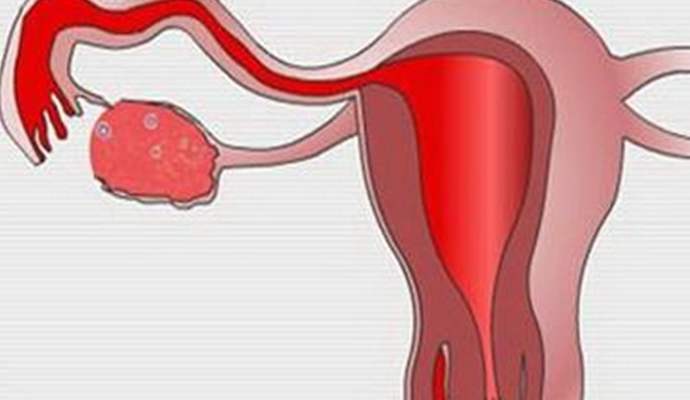 20200115_1579078051_.jpg slg.jpg