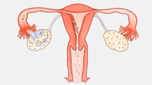 20200116_1579165365_.jpg slg.jpg