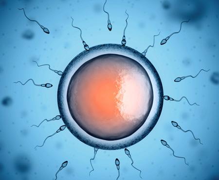 20200117_1579246189_.jpg wjsj.jpg