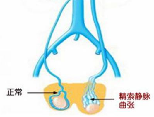 20200318_1584497868_.jpg jsjm.jpg