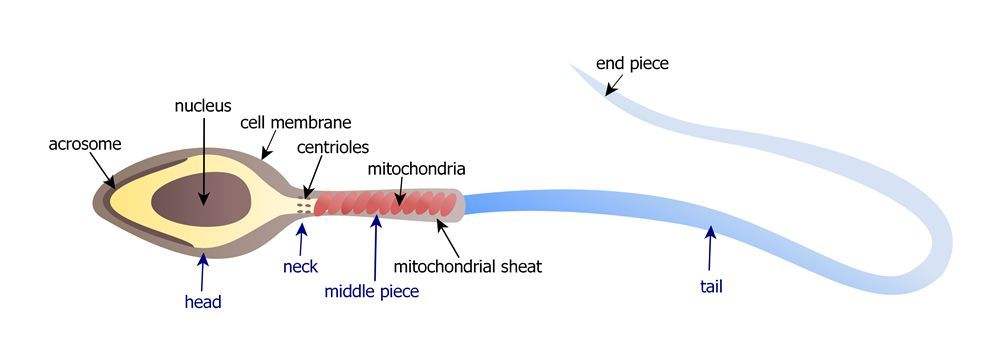 20200322_1584865911_.jpg jzi.jpg