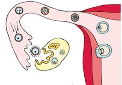 20200324_1585039169_.jpg 26&gp=0.jpg