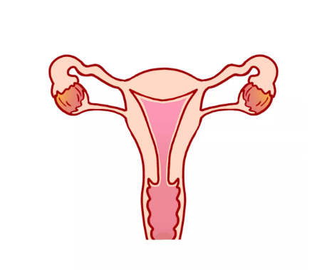 20200327_1585277375_.png 2 (1).png