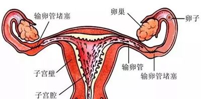 20200328_1585362269_.jpg 5-1Q1291434125I.jpg