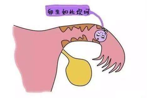 20200413_1586743440_.jpg 4.jpg