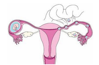 20200427_1587958990_.jpg 5b6834fan22261c0f (1).jpg