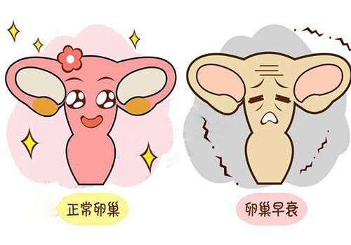 20200506_1588732135_.jpg 8777778888.jpg