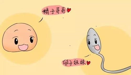 深圳女性卵巢不孕如何预防 深圳女性卵巢不孕如何预防