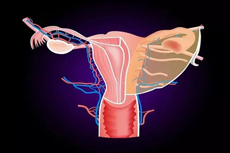 深圳治疗输卵管不孕的医院怎样判断输卵管不通? 深圳治疗输卵管不孕的医院怎样判断输卵管不通?
