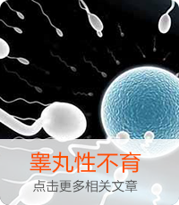睾丸性不育